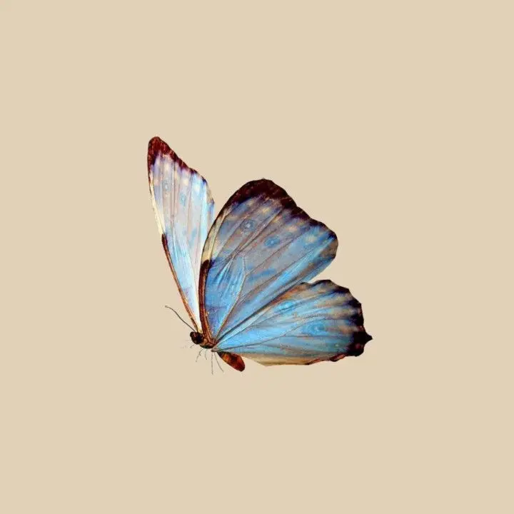 PROCRASTINATOR의 John Polidori