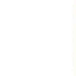 Profile image of 동 민