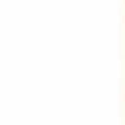 Profile image of 김 운 학