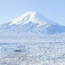 Profile image of マネージャーや関係