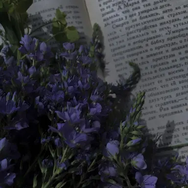 Profile image of 수현