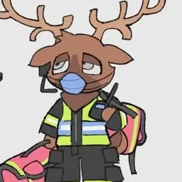 Profile image of Paramedic