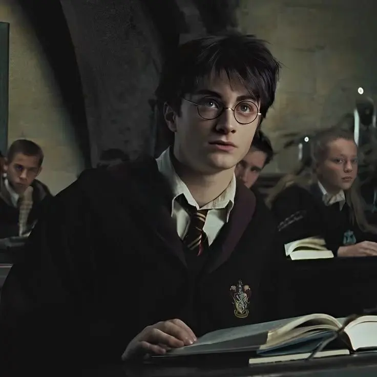 -SLYTHERIN-PRINCESS-24의 Hated Potter twins AU react to them