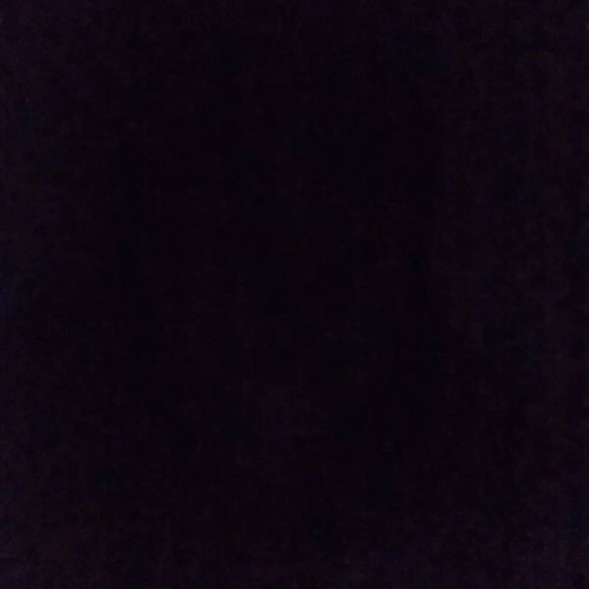 FakeYear6009의 박원빈