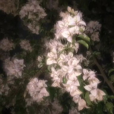 Profile image of 밥풀