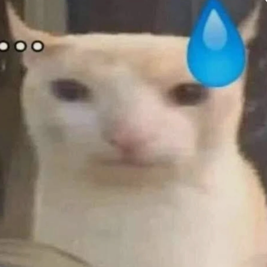 캠퍼초보친구