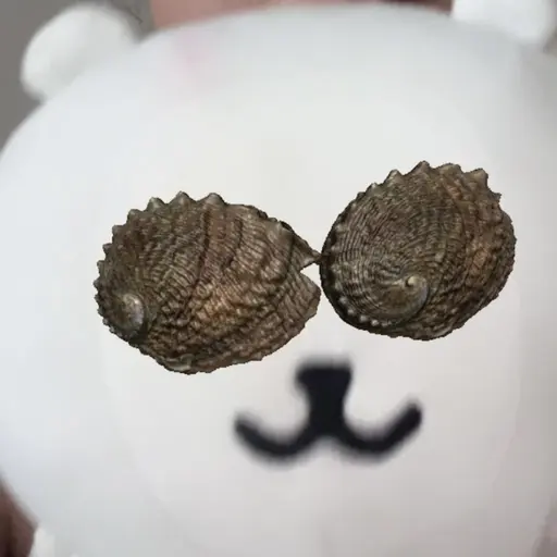 OddYarn0984의 농담곰