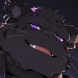 Profile image of ノクス
