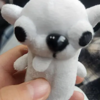 Profile image of 바바리치와와