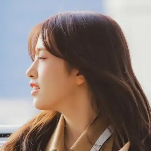AgileCliff7139의 안유진