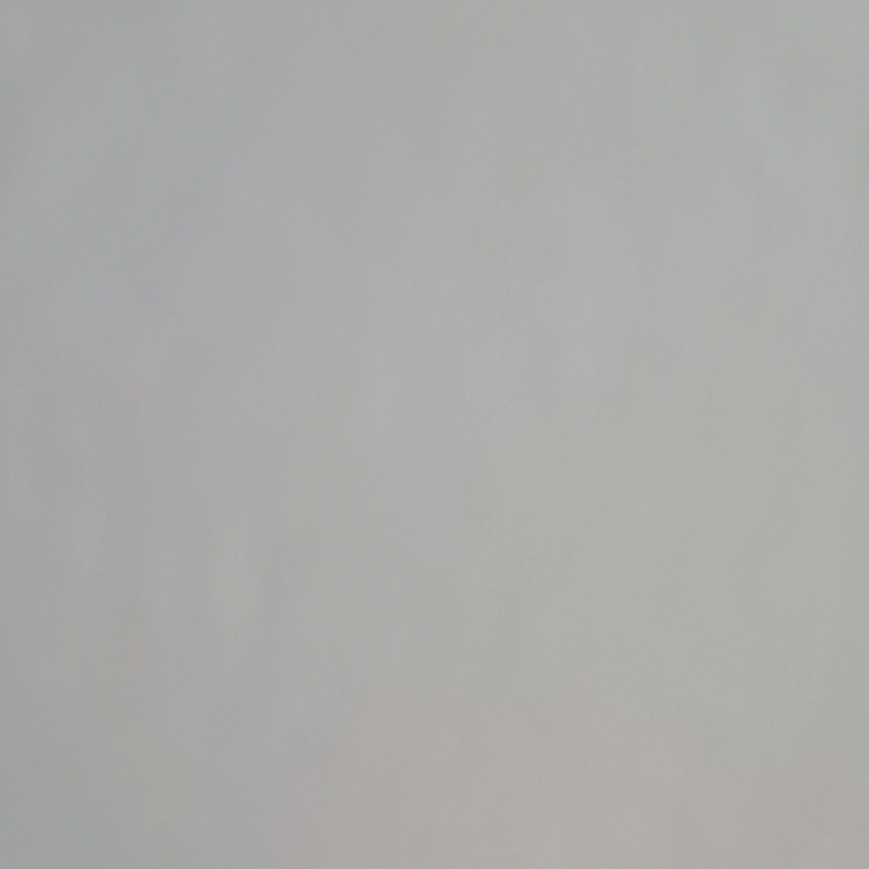 BraveWater0870의 팀나빠(유저가 벨키)