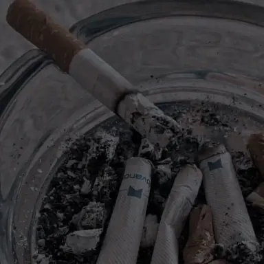 Profile image of 岩本照