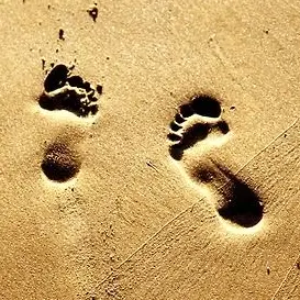 Profile image of 向井康二