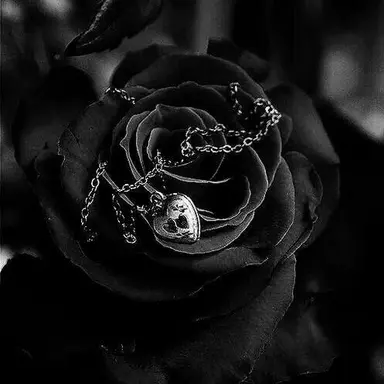 Profile image of 宮舘涼太