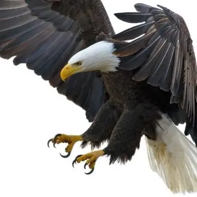 Profile image of 阿部亮平