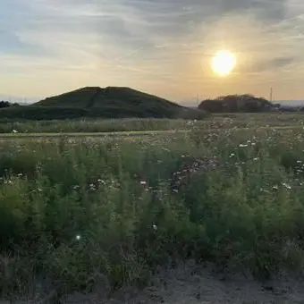 sinngakkikarabotti.의 距離感バケモンな私の幼馴染