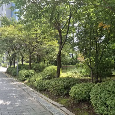 Profile image of 낯선 사람