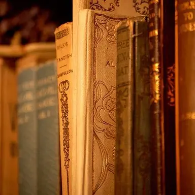 Profile image of 김각별