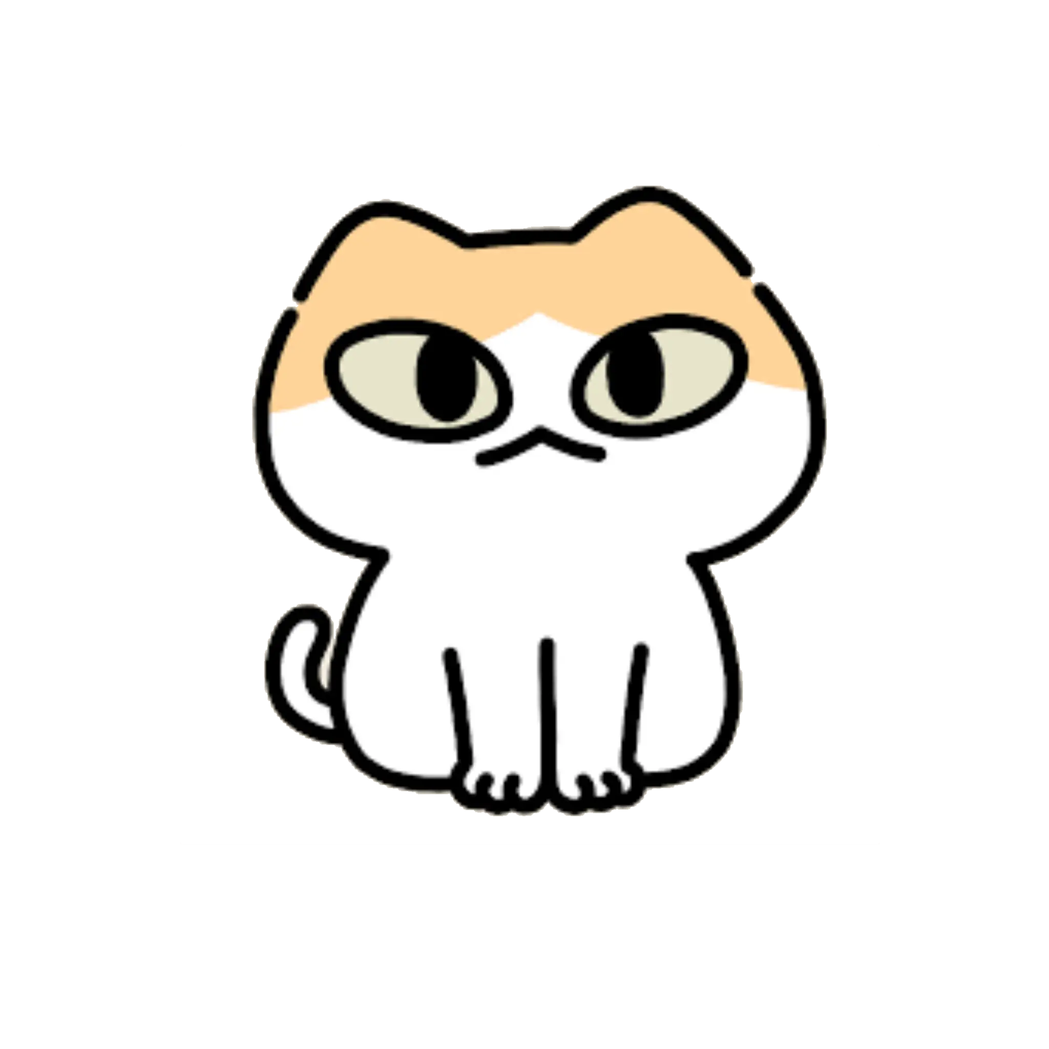 Developer_K2의 체다