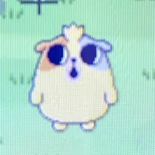 Profile image of もるちー