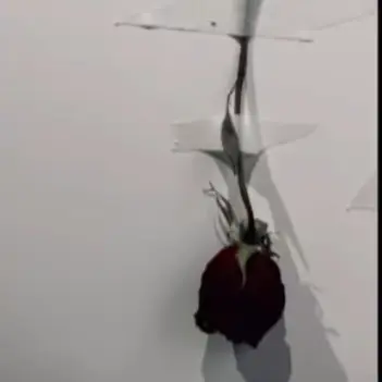 Profile image of 이민호