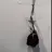 이민호