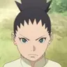 Profile image of Shikadai