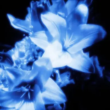 Profile image of 행크