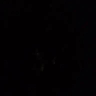 Profile image of 손님