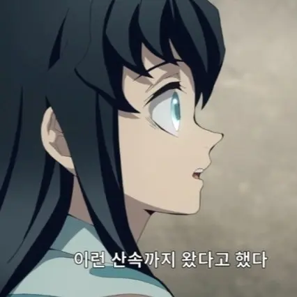 HeavyNyala4118의 토키토 무이치로