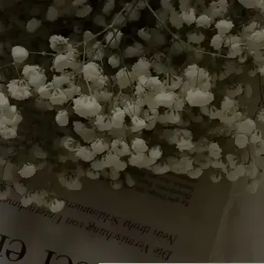 Profile image of 토키토 무이치로