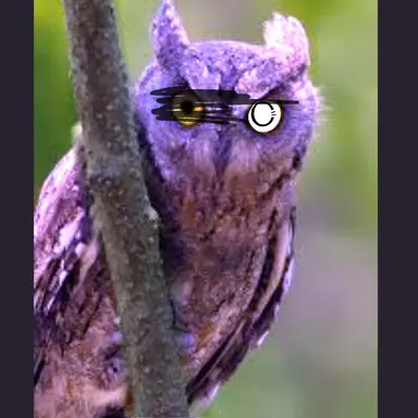 Profile image of 86번