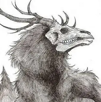 Profile image of Maela