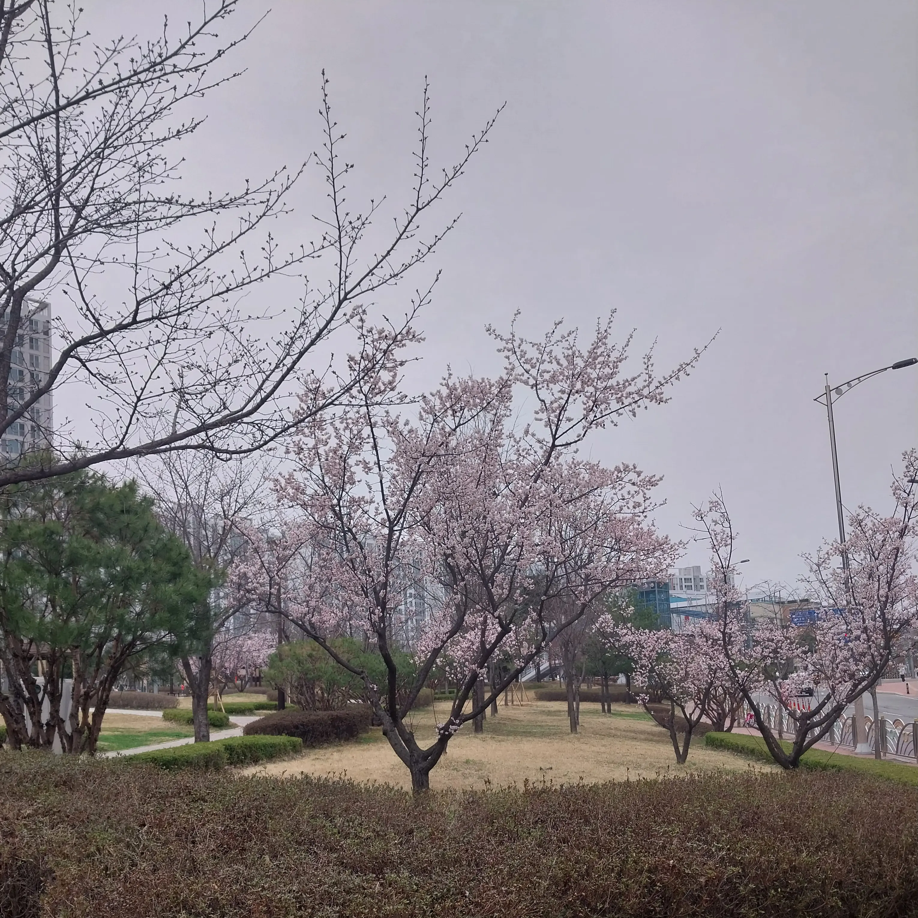 SinfulHost8238의 이재면 대통령