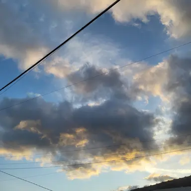 Profile image of 황현진