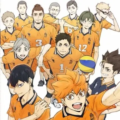 Profile image of Karasuno High Players