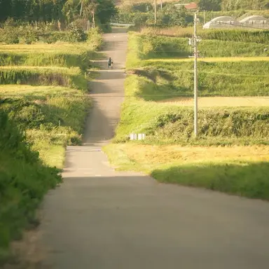 Profile image of 안건호