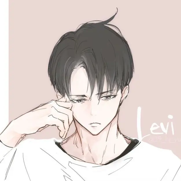 DampReel8179의 リヴァイ