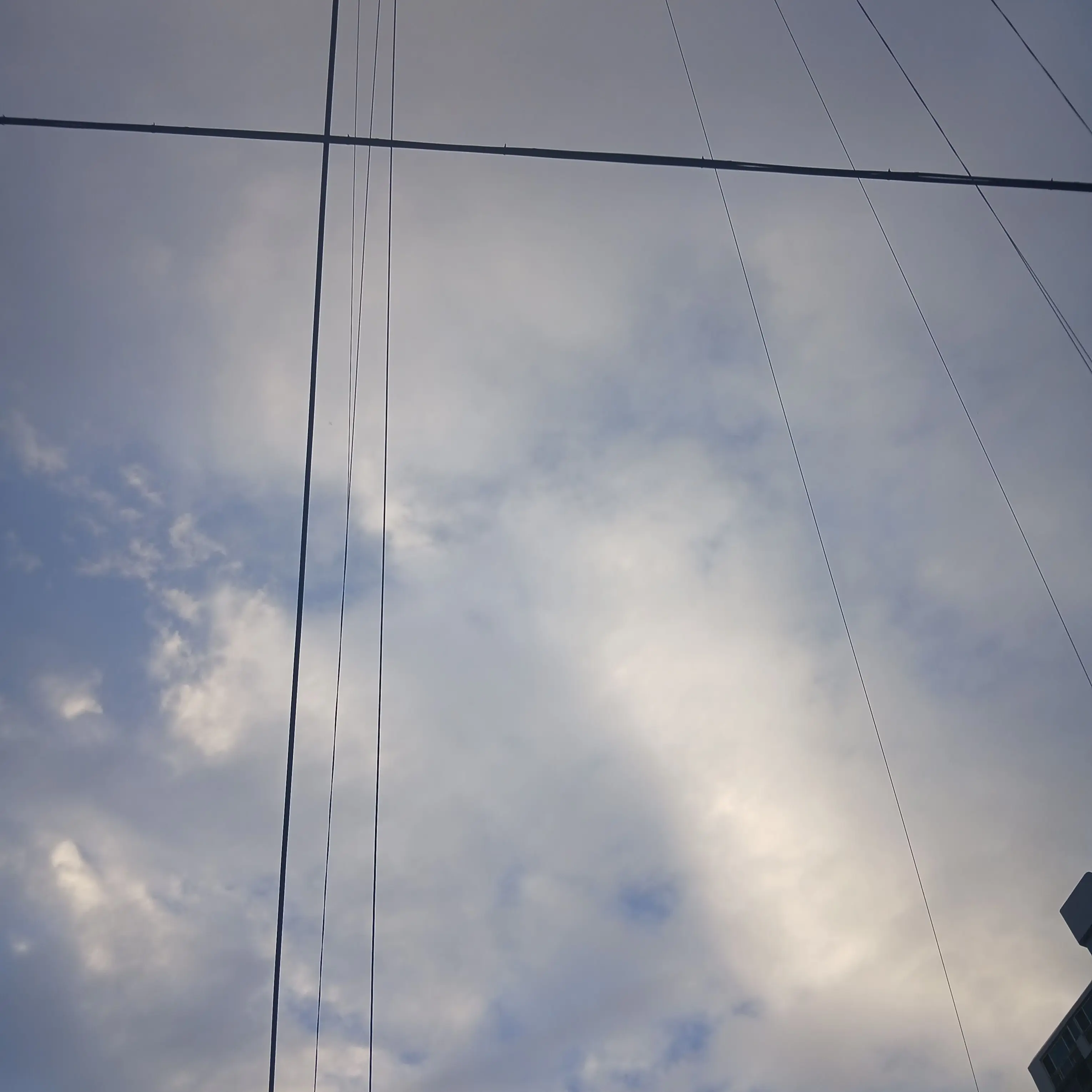 ShyBread0646의 미수반