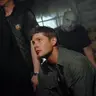 Profile image of jensen