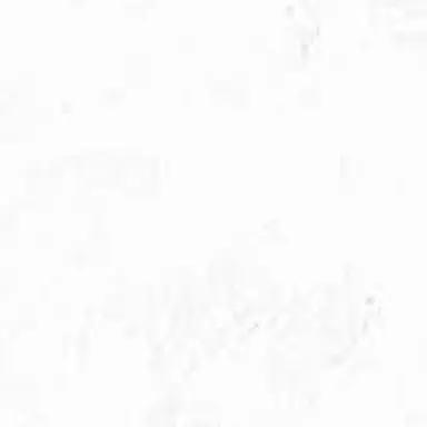 Profile image of 坂田銀時