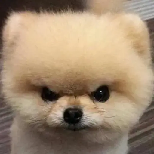d7v00I의 하늘이