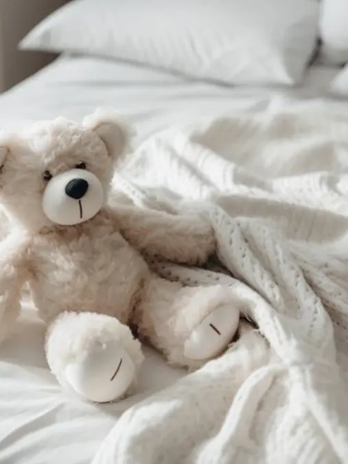 knt_hbr_zeffiro의 ［knhb］溺愛注意報