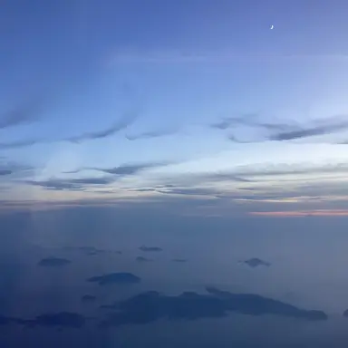 Profile image of 여우