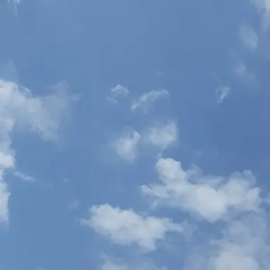 Profile image of ブルロメンバー