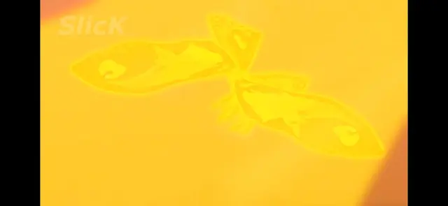 Profile image of モスラ