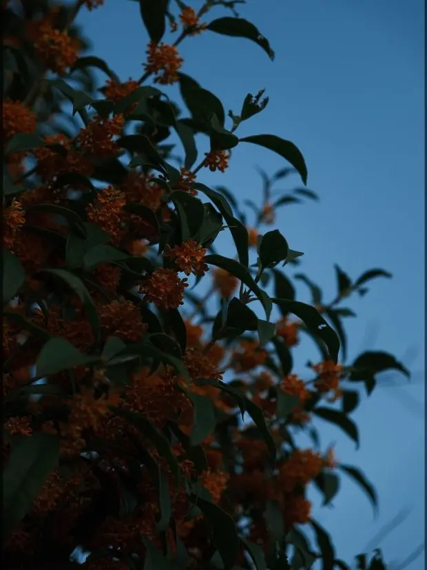 keriawife13의 '이 밤과 함께 춤추자, 새벽 2시'