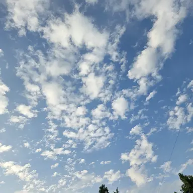 Profile image of 집사