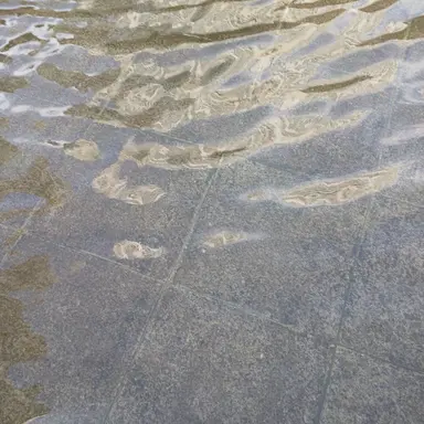 Profile image of 웃소