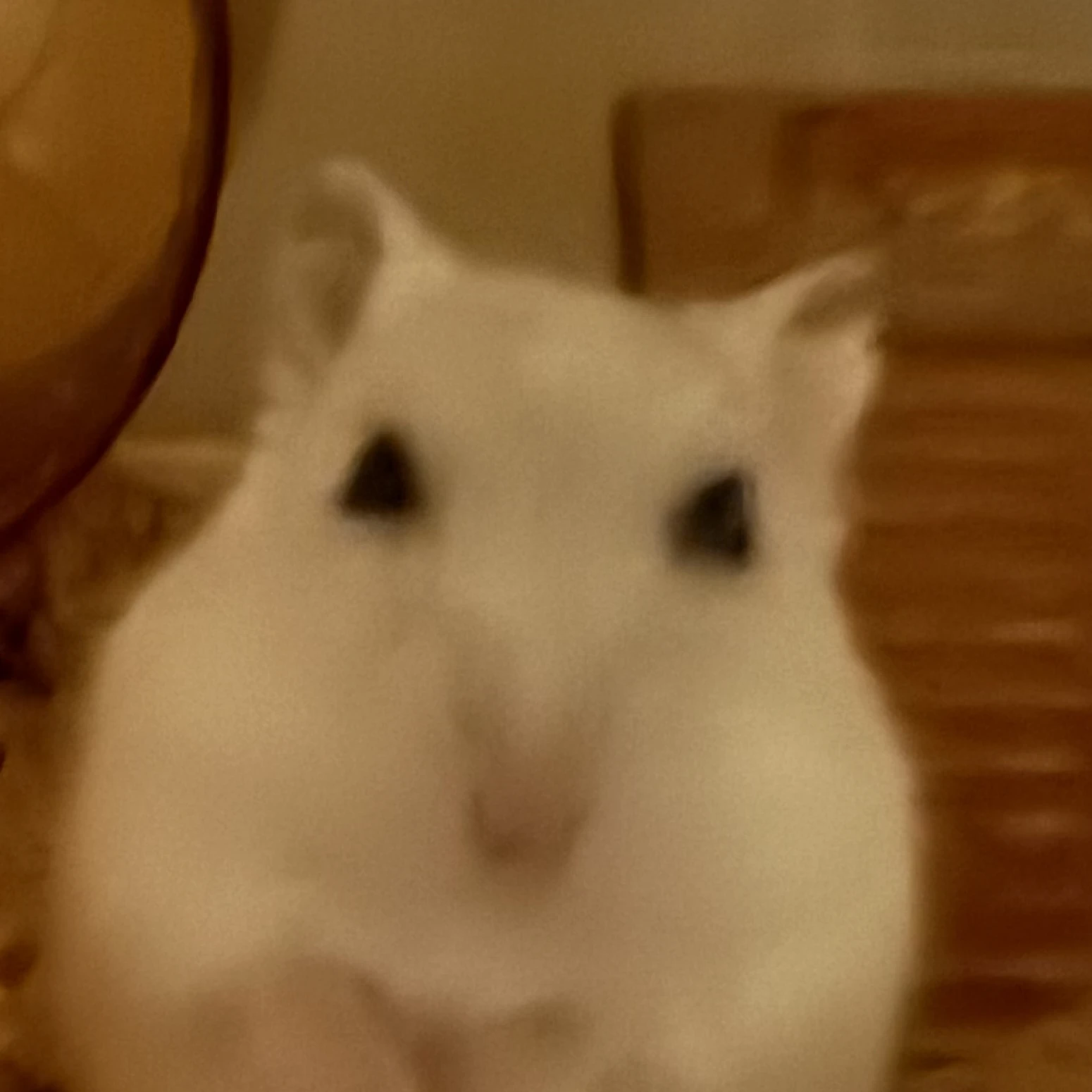 하하